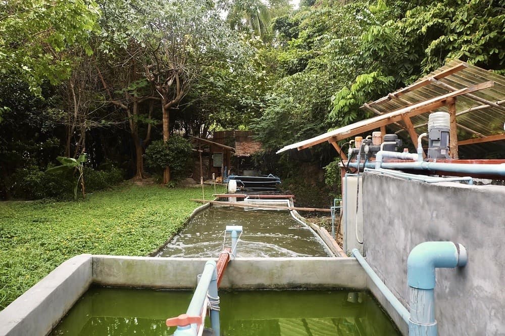 Wastewater Treatment System