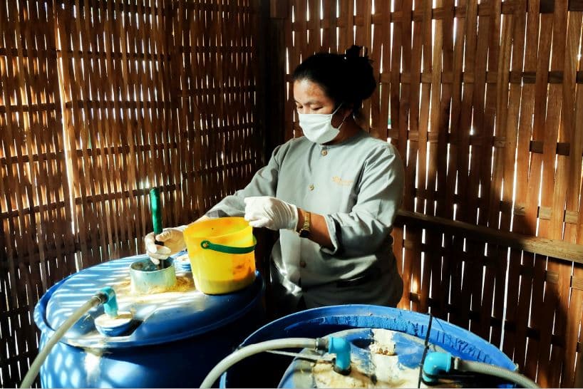 The Utilization of Waste Food and Non-chemical Products